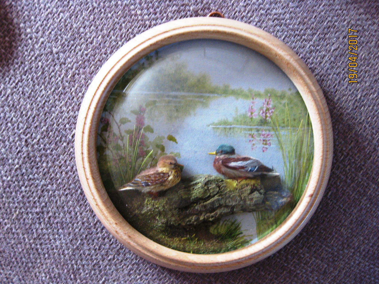 Mallards (5-inch)